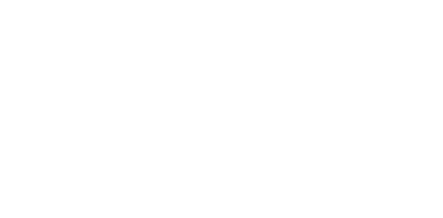 logo-incario