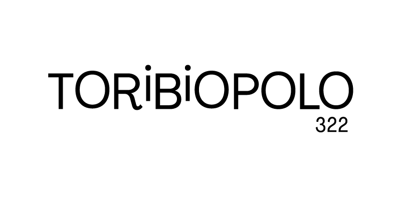 armando-paredes-proyecto-toribiopolo-logo